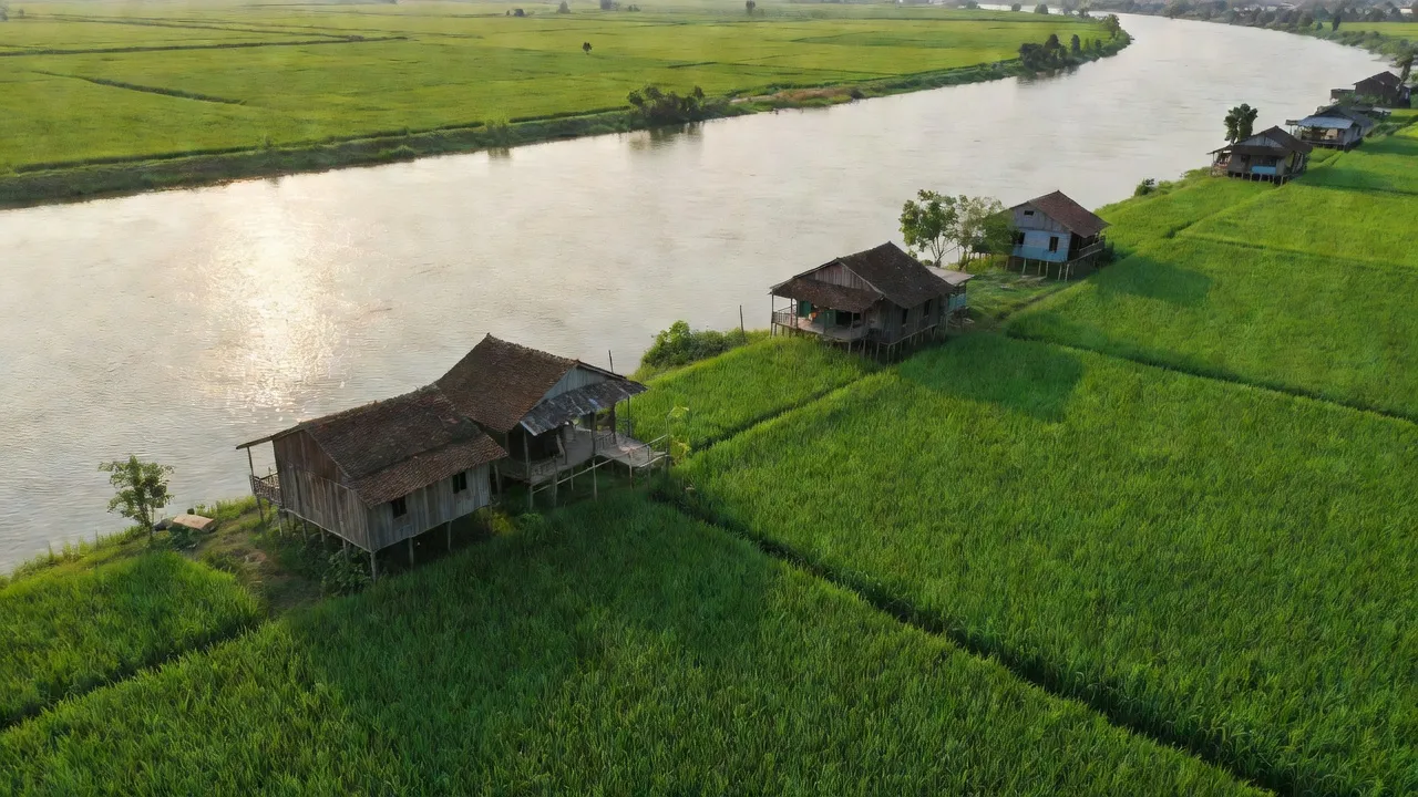Quang cảnh xã Quốc Thái, An Phú, An Giang với sông Hậu và ruộng đồng xanh mát.