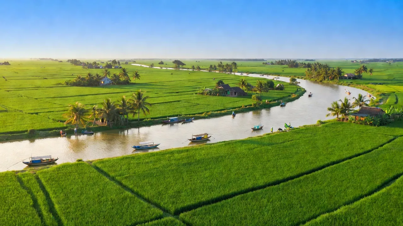 Cảnh quan nông thôn xã Vĩnh Hậu, huyện An Phú, An Giang với cánh đồng xanh và sông Cửu Long.