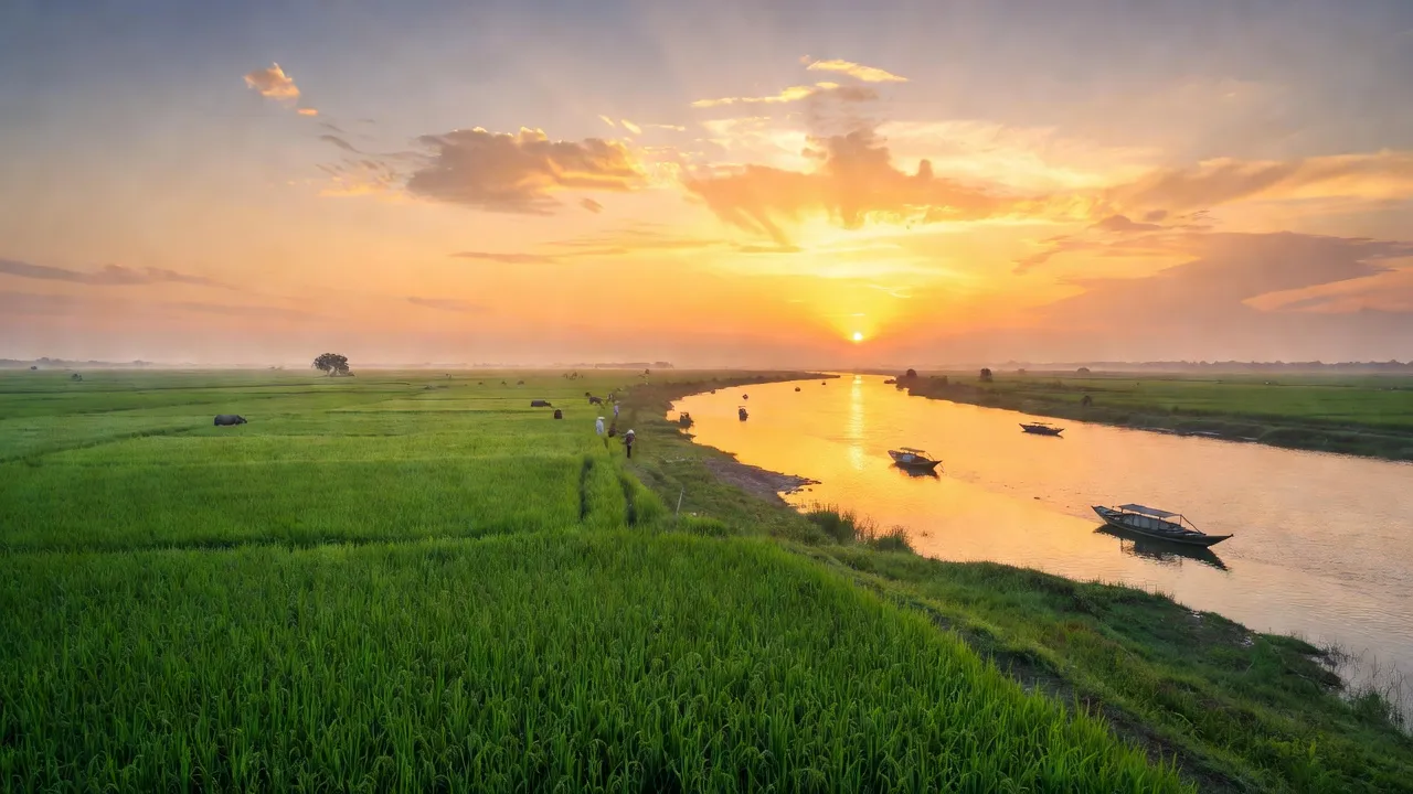 Cảnh đẹp nông thôn Xã Bình Long, Huyện Châu Phú, tỉnh An Giang với cánh đồng xanh và sông Hậu.