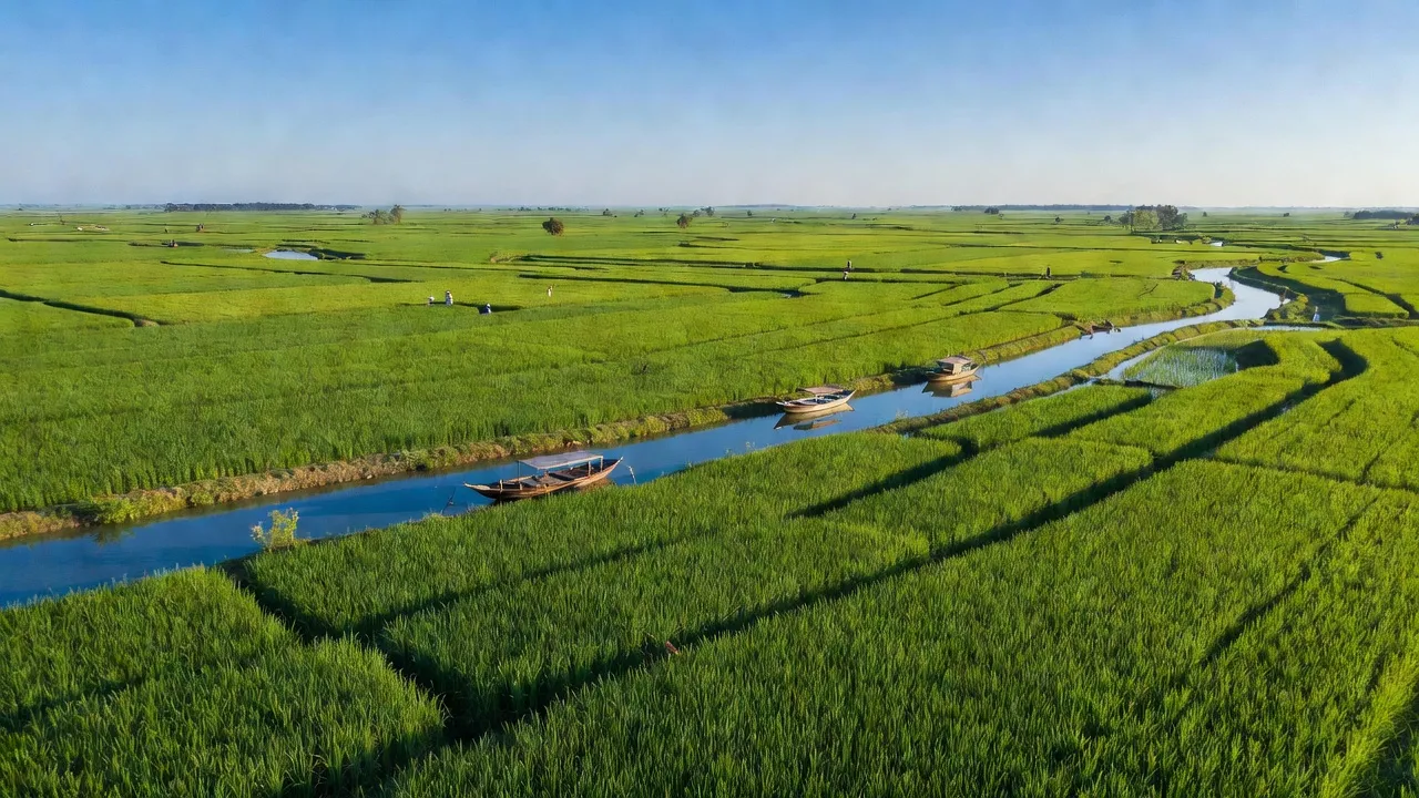 Khánh Hòa xã, Châu Phú huyện, An Giang tỉnh, đồng bằng xanh tươi, cảnh đồng lúa, sông nước