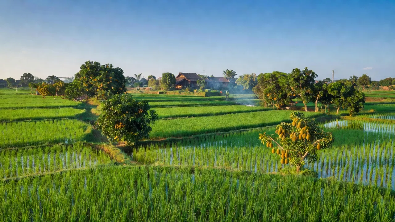 Vĩnh Lợi - hình ảnh minh họa 1