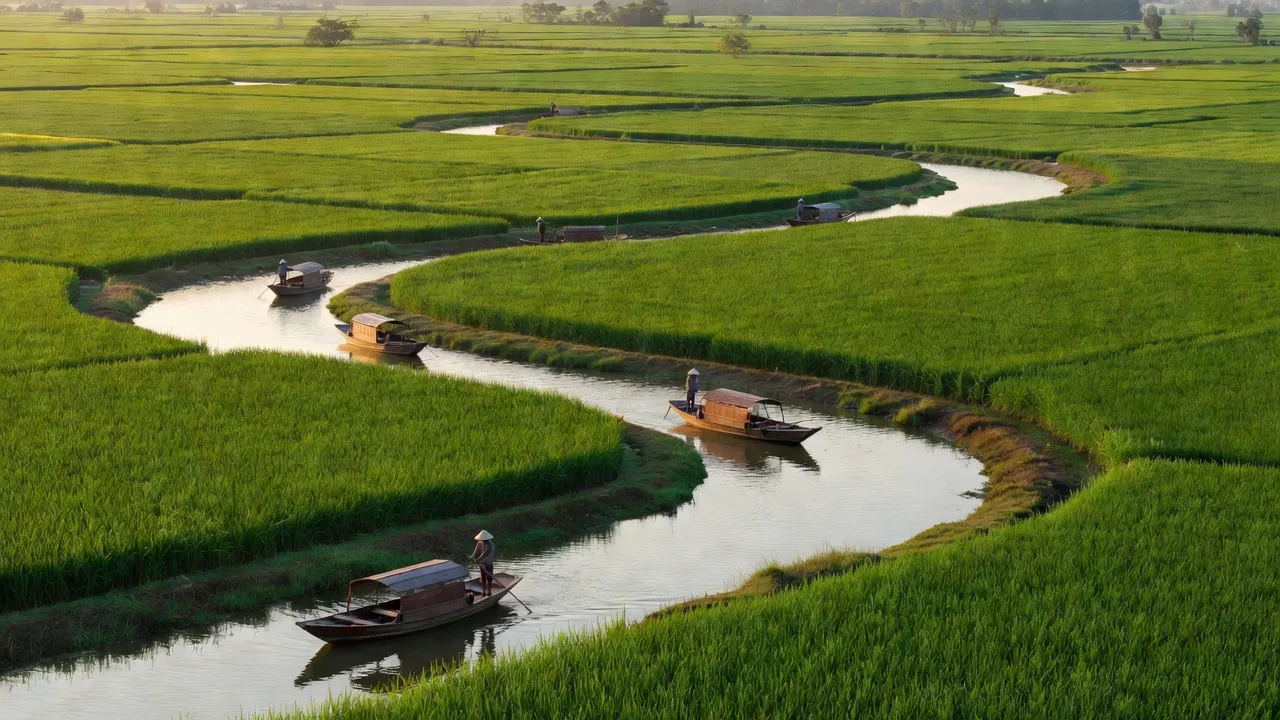 Cảnh đồng xanh tươi và các con sông ở xã Hiệp Xương, huyện Phú Tân, An Giang.