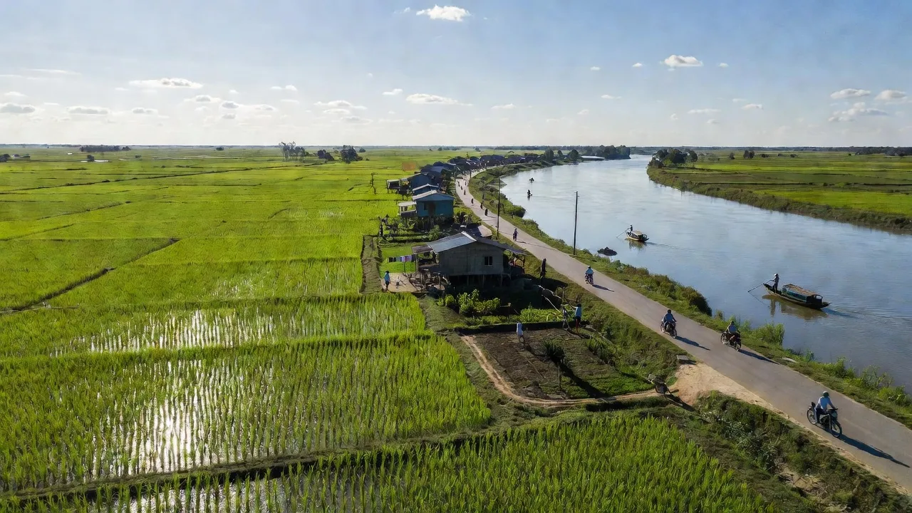 Cảnh đẹp xã Phú Lâm, huyện Phú Tân, An Giang với đồng ruộng xanh và sông Tiền.