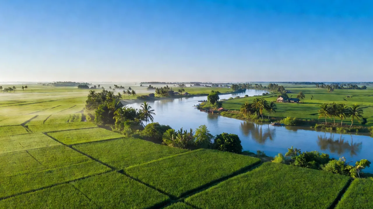 Cảnh sắc xã Vĩnh Xương, Tân Châu, An Giang với cánh đồng xanh và dòng sông Mekong.