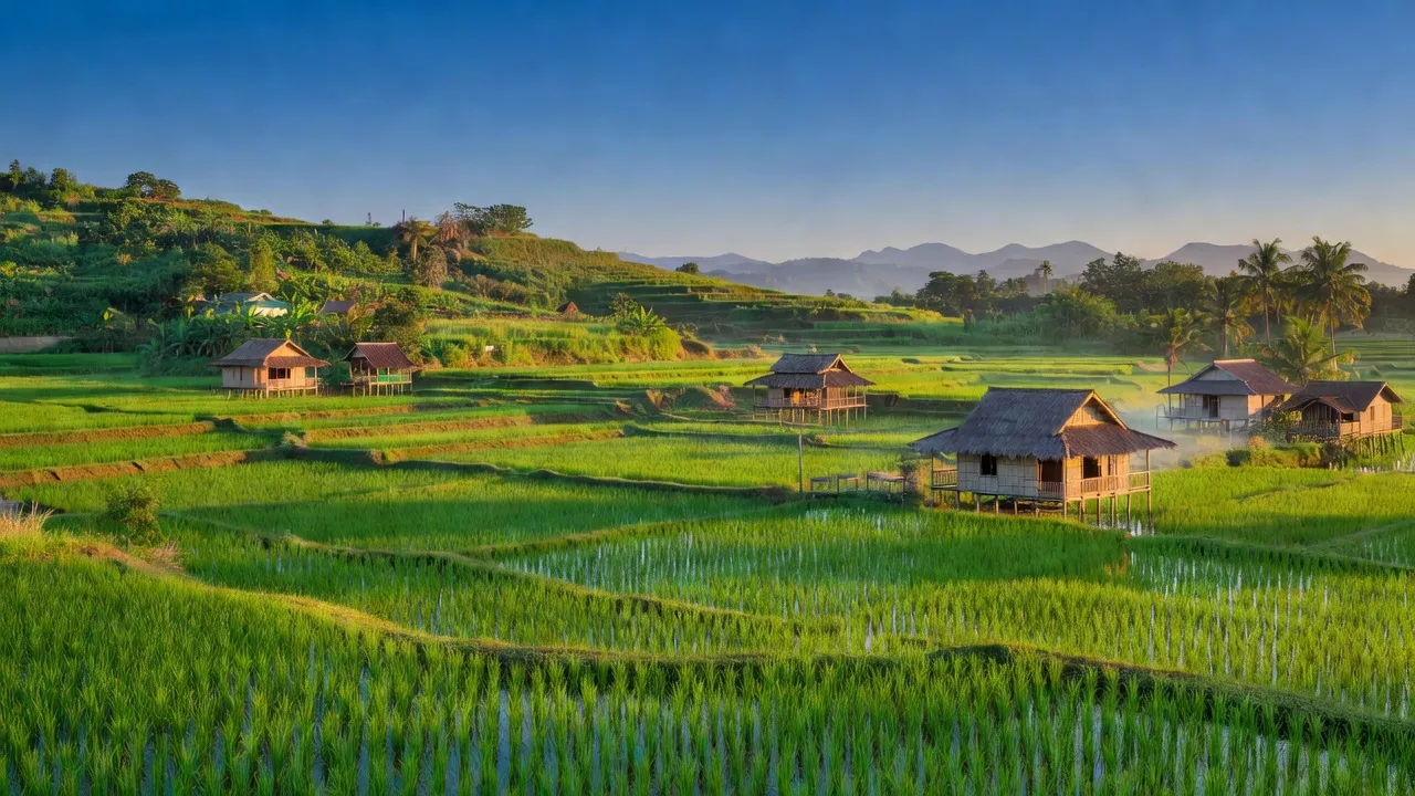 Xã An Bình, Huyện Thoại Sơn, Tỉnh An Giang