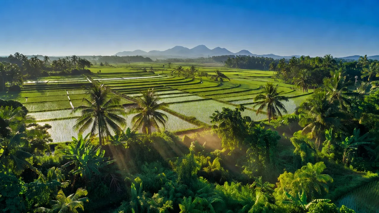 Cảnh đẹp Xã An Hảo, Thị xã Tịnh Biên, An Giang với cánh đồng xanh và bầu trời trong xanh.