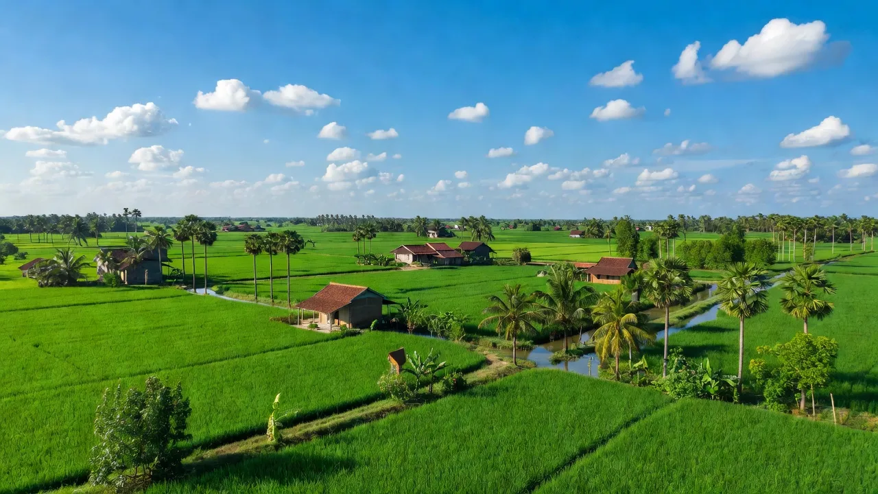 Cảnh đẹp xã Châu Lăng, huyện Tri Tôn, tỉnh An Giang với cánh đồng xanh tươi và nhà truyền thống.