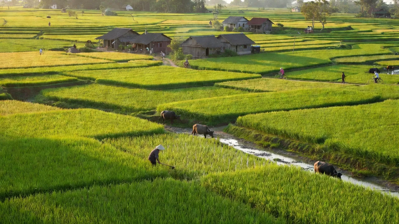 Cảnh sắc yên bình tại xã Tân Tuyến, huyện Tri Tôn, tỉnh An Giang, với đồng ruộng và làng quê.