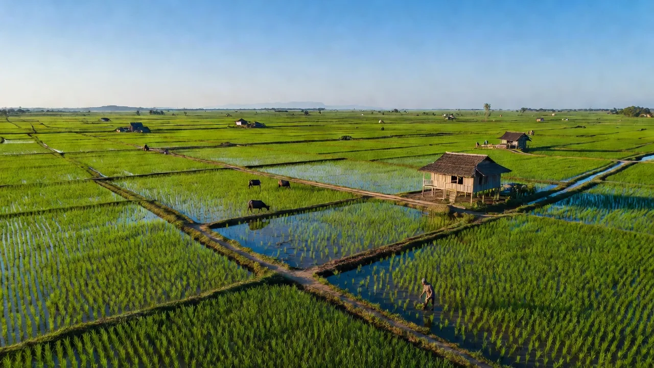 Xã Vĩnh Gia, Huyện Tri Tôn, Tỉnh An Giang