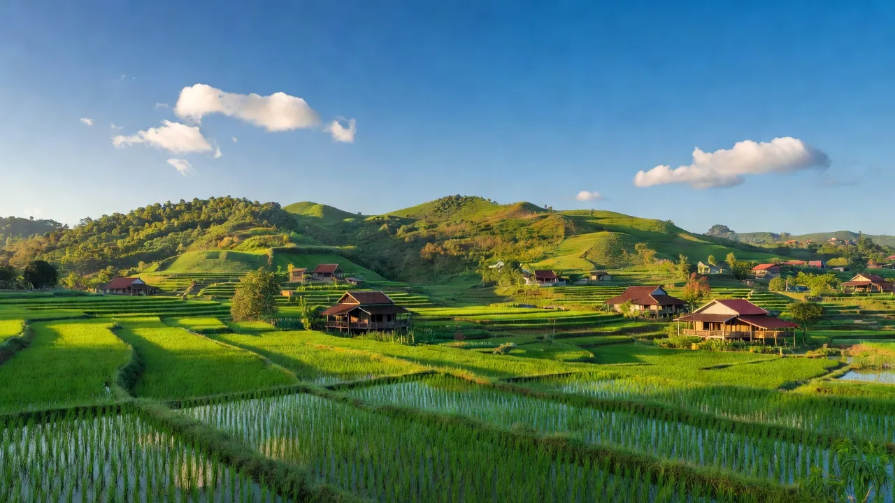 Cảnh quan huyện Châu Đức, Bà Rịa - Vũng Tàu với cánh đồng xanh và nhà truyền thống Việt Nam.