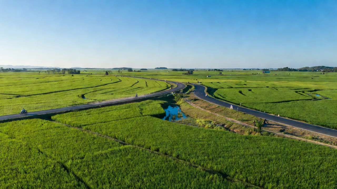 Láng Lớn - hình ảnh minh họa 1
