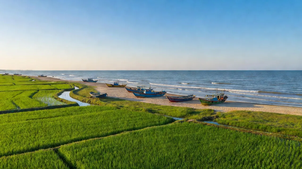 Phước Hưng, Long Đất, Bà Rịa - Vũng Tàu với cánh đồng xanh và thuyền đánh cá.