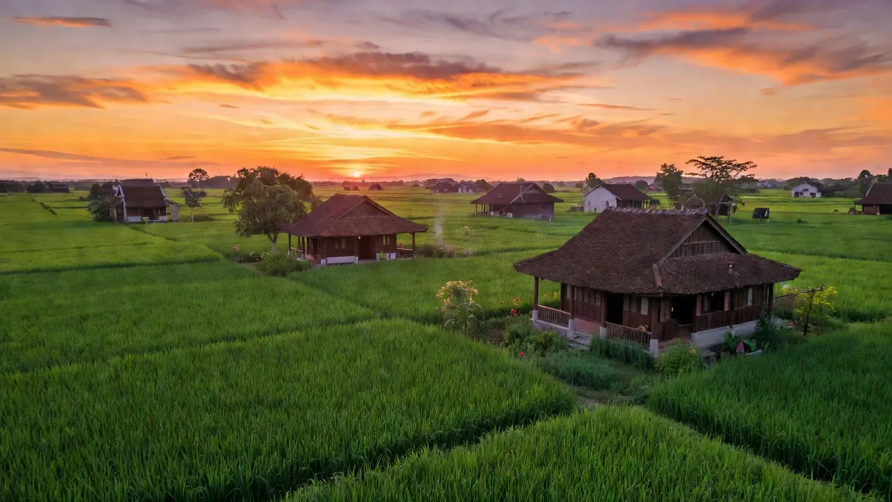 Quang cảnh nông thôn xã Bàu Lâm huyện Xuyên Mộc tỉnh Bà Rịa - Vũng Tàu với cánh đồng xanh.