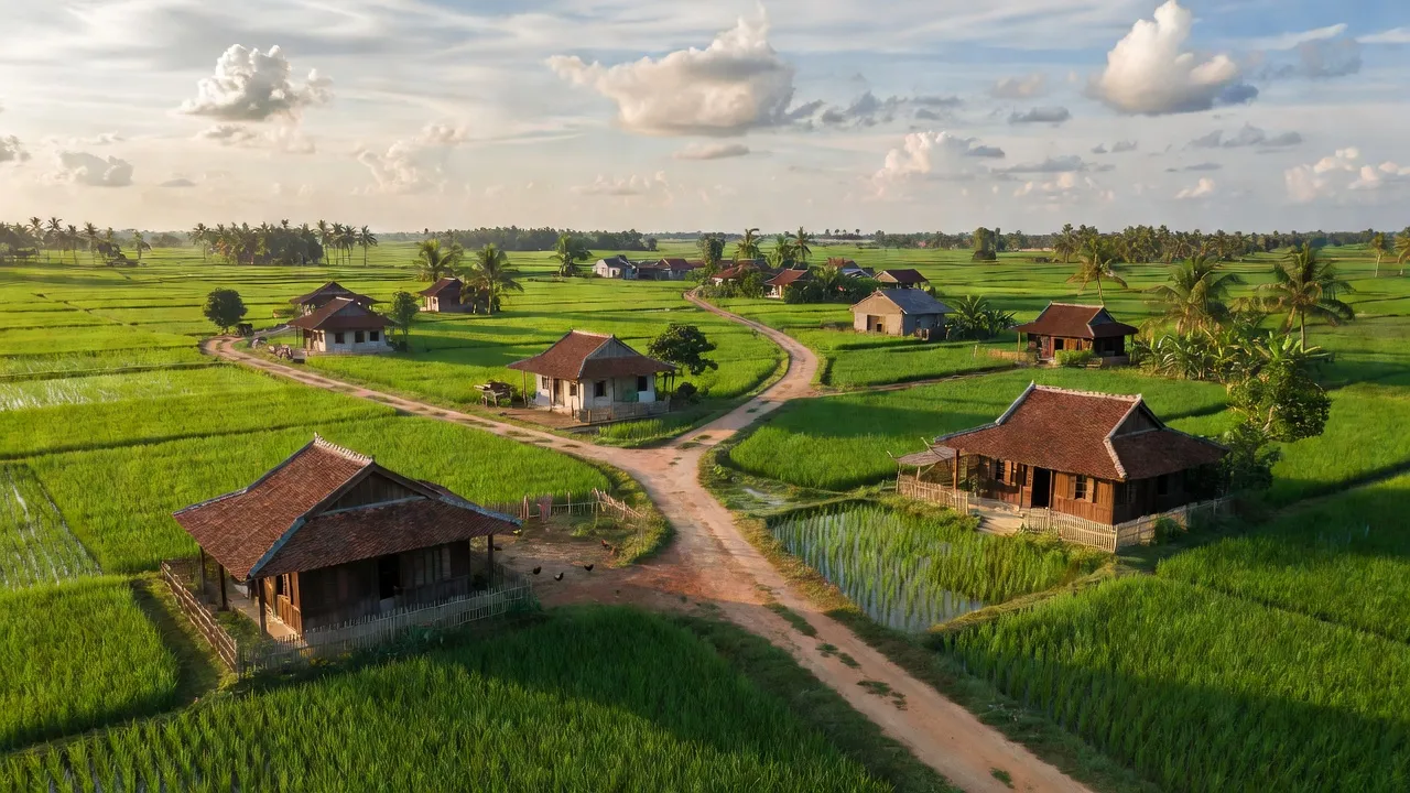 Cảnh quan nông thôn xã Bông Trang, huyện Xuyên Mộc, Bà Rịa - Vũng Tàu với cánh đồng xanh.