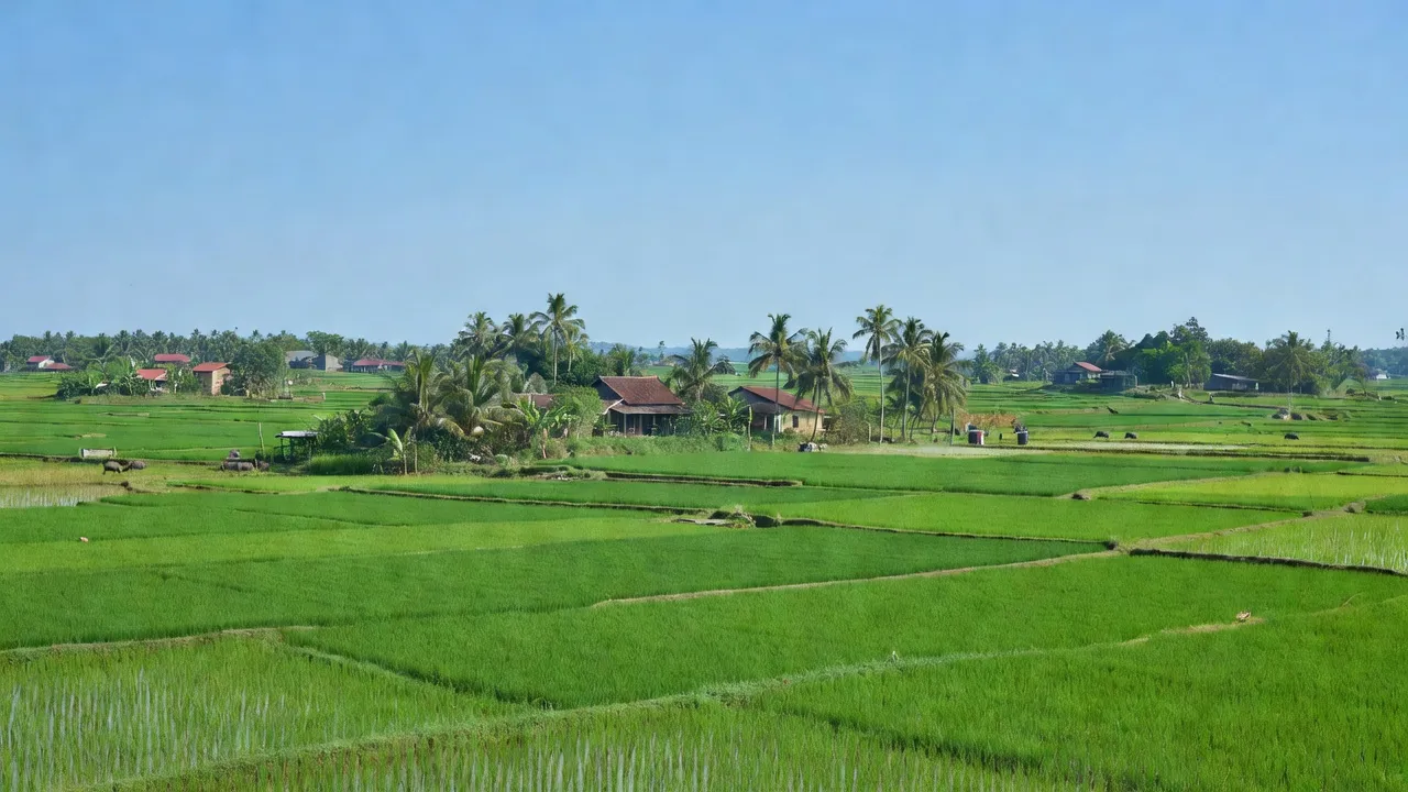 Xã Hòa Hội, Huyện Xuyên Mộc, Tỉnh Bà Rịa - Vũng Tàu
