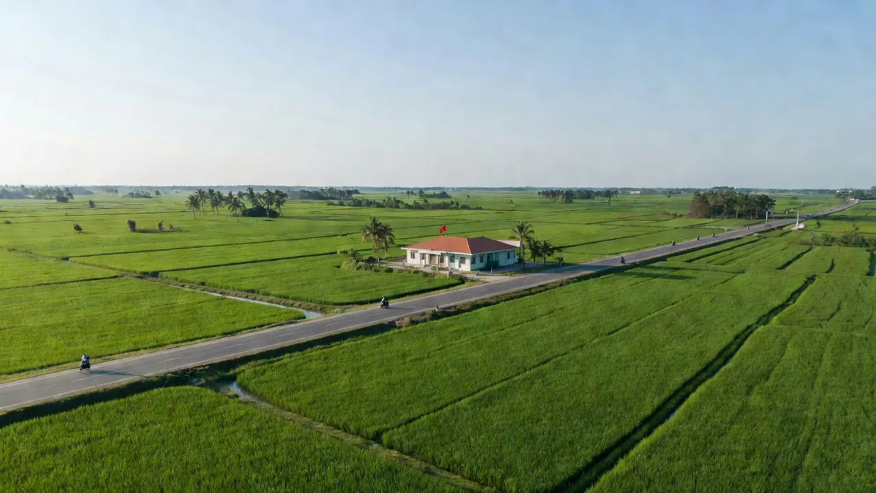 Hòa Hưng - hình ảnh minh họa 1