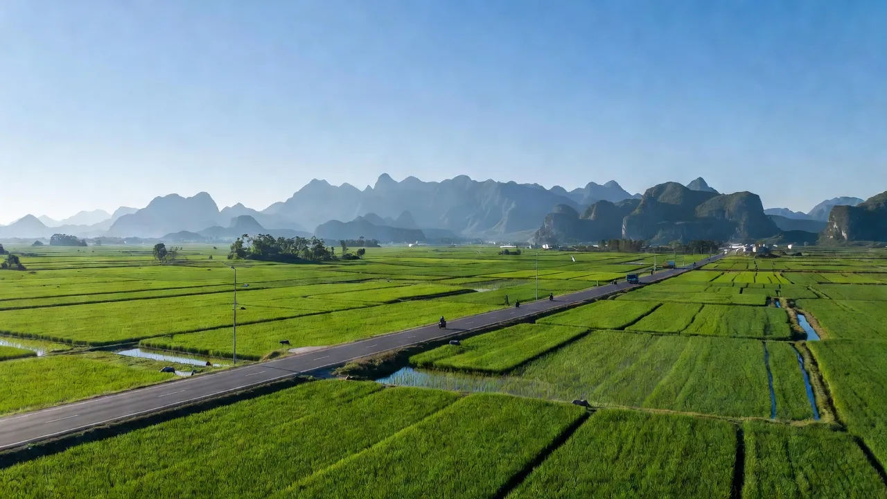 Xã Lương Phong, Huyện Hiệp Hòa, Tỉnh Bắc Giang