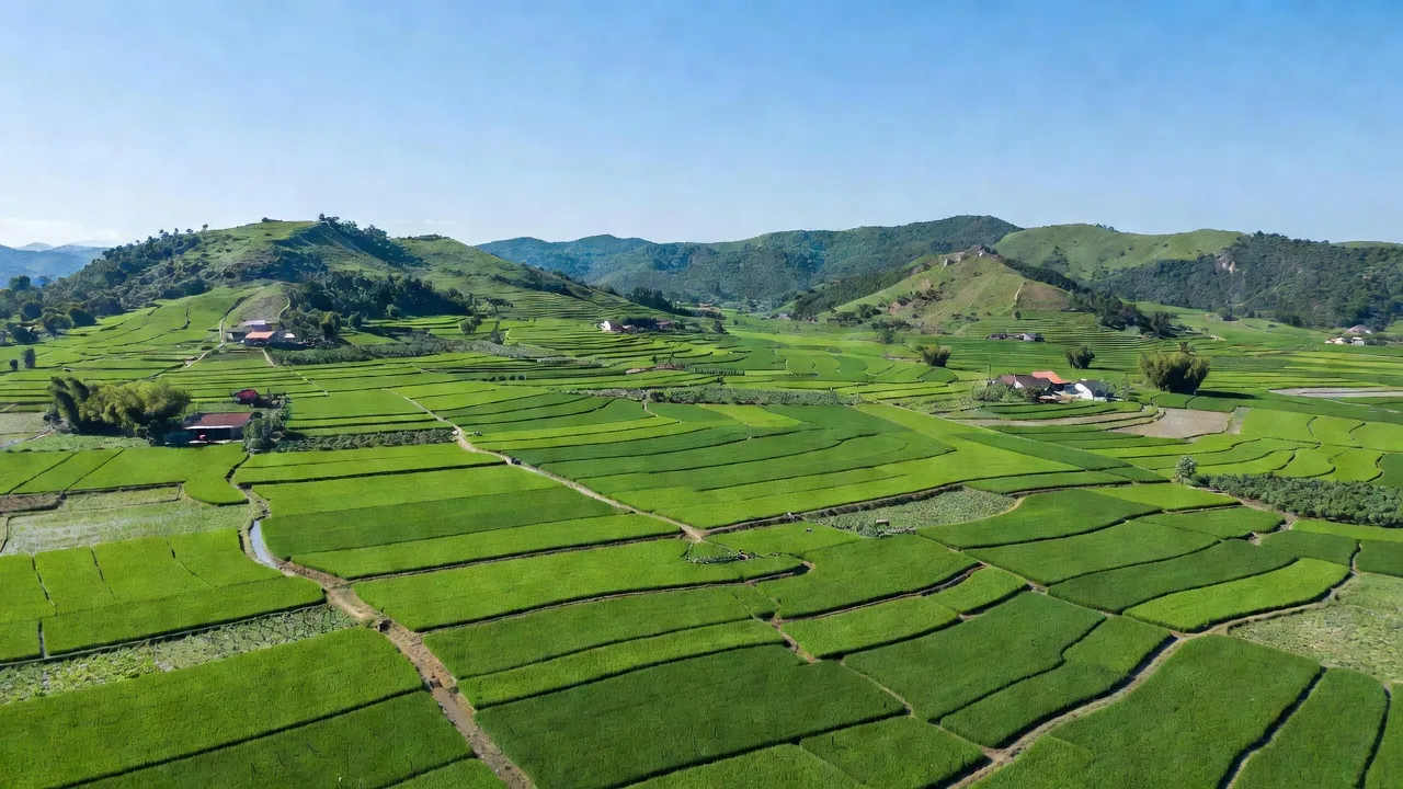 Cảnh quan Hương Sơn, Lạng Giang với cánh đồng xanh và đồi núi thấp, Bắc Giang, Việt Nam.