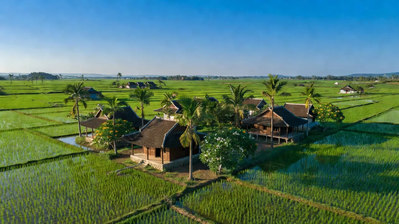 Cảnh đồng xanh Nghĩa Hưng, Lạng Giang, Bắc Giang với nhà truyền thống và bầu trời trong xanh.