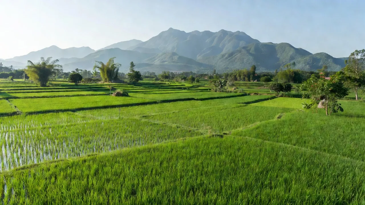 Cảnh quan xã Giáo Liêm, huyện Sơn Động, Bắc Giang với cánh đồng xanh và núi non hùng vĩ.