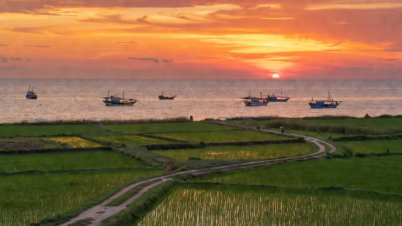 Xã An Phúc, Huyện Đông Hải, Tỉnh Bạc Liêu