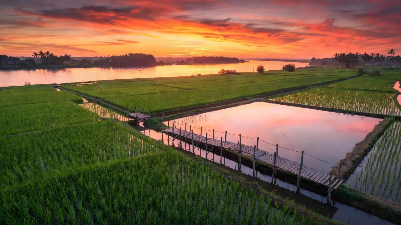 Xã An Trạch A, Huyện Đông Hải, Tỉnh Bạc Liêu