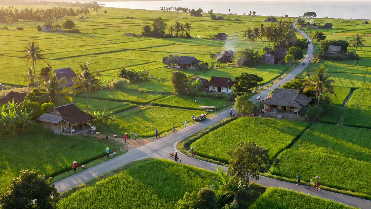 Cảnh quan xã Phong Tân, thị xã Giá Rai, tỉnh Bạc Liêu với đồng cỏ xanh và đường ven biển.