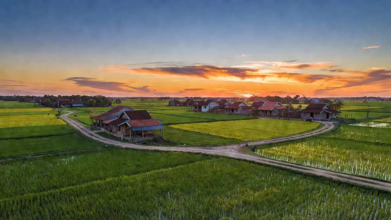 Quang cảnh xã Tân Thạnh, thị xã Giá Rai, Bạc Liêu với ruộng lúa và nhà truyền thống.