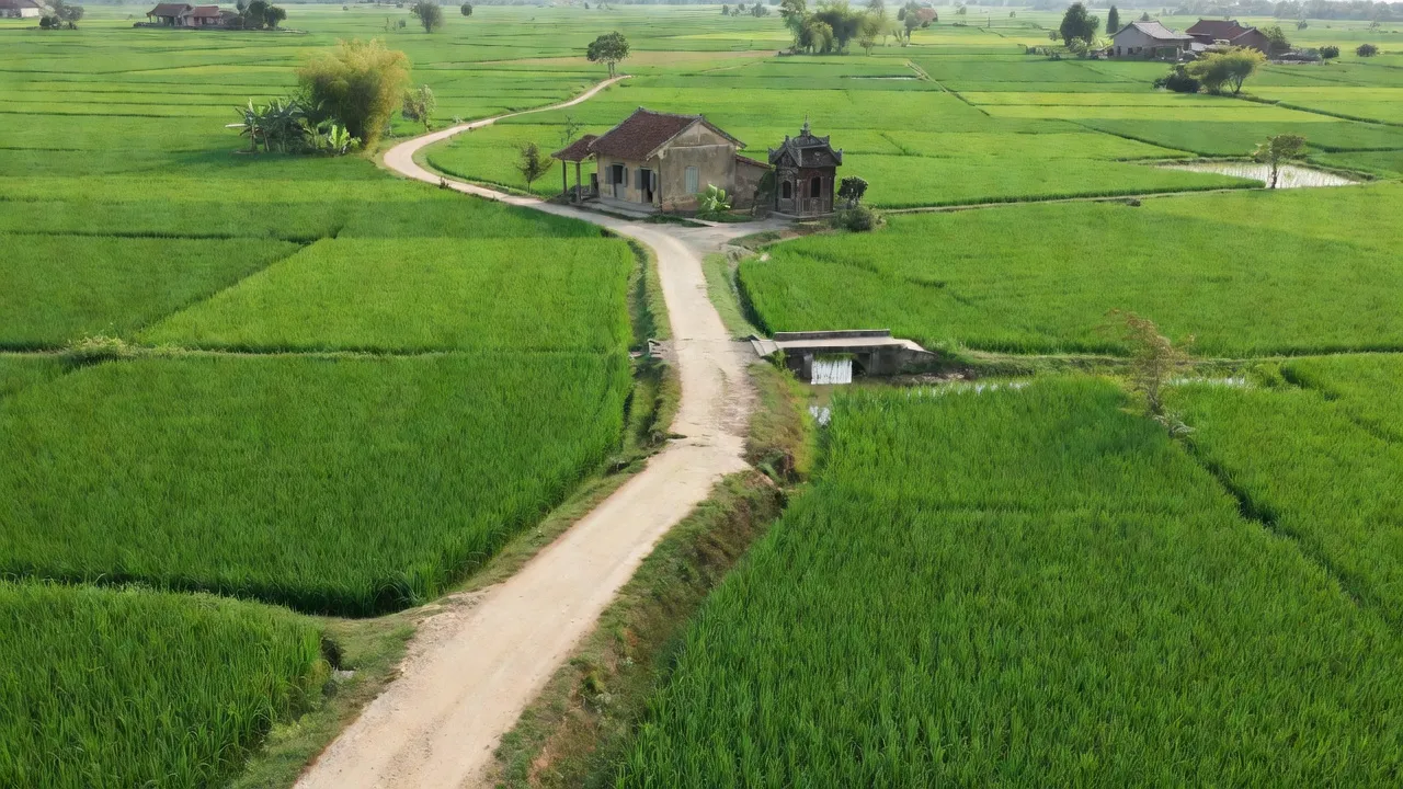 Cảnh quan xã Cao Đức, Gia Bình, Bắc Ninh với đồng quê xanh và đường làng nhỏ.