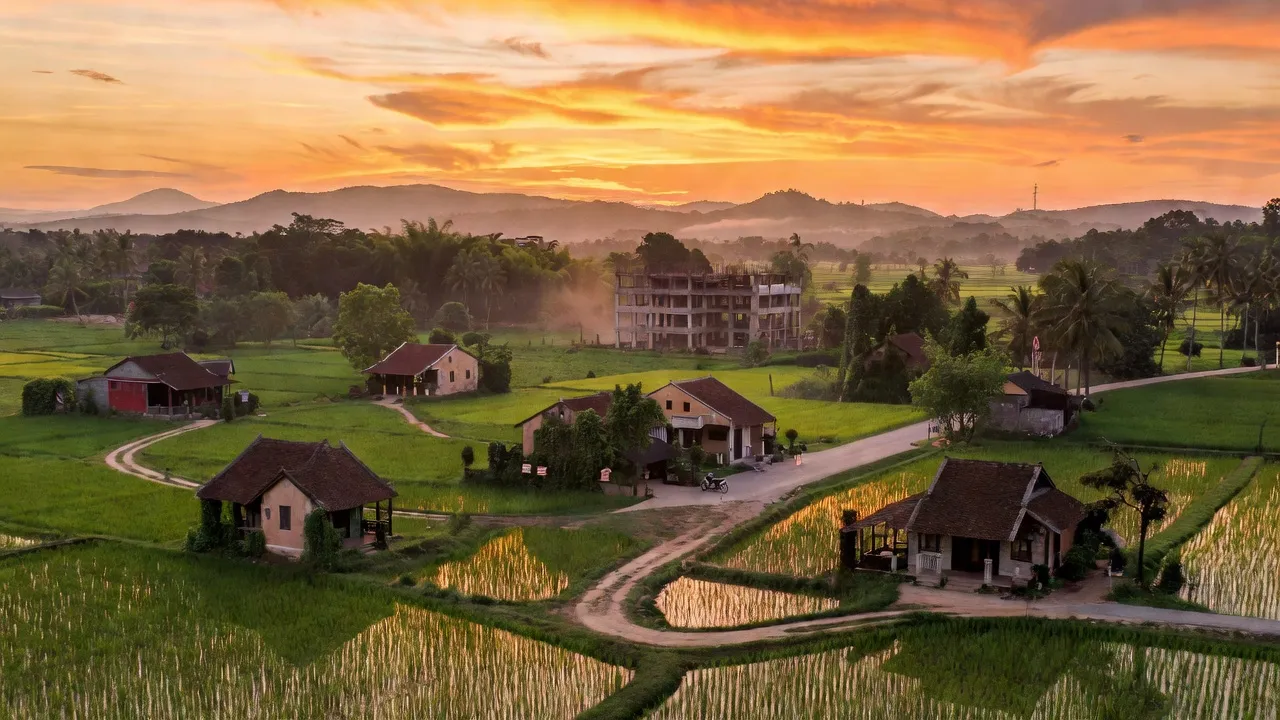 Khung cảnh Xã Song Liễu, Thị xã Thuận Thành, Bắc Ninh với đồng lúa và nhà truyền thống.