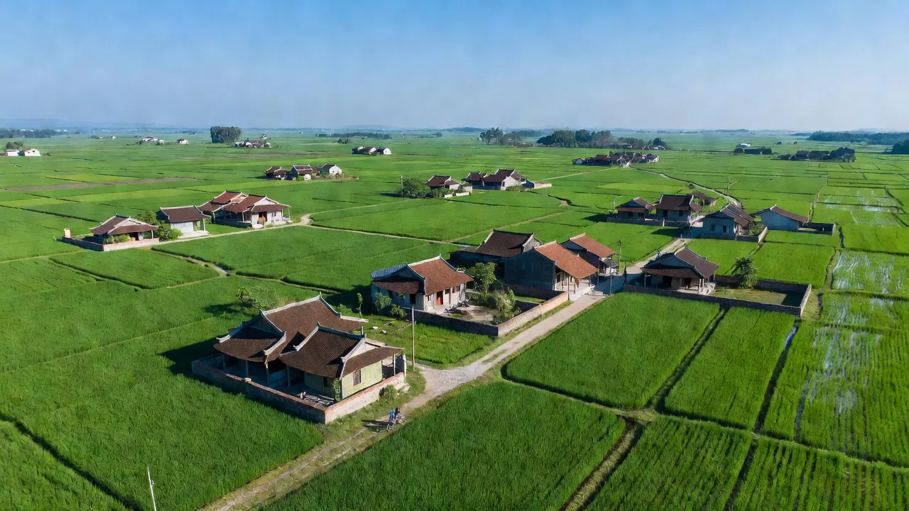 Đại Đồng - hình ảnh minh họa 1
