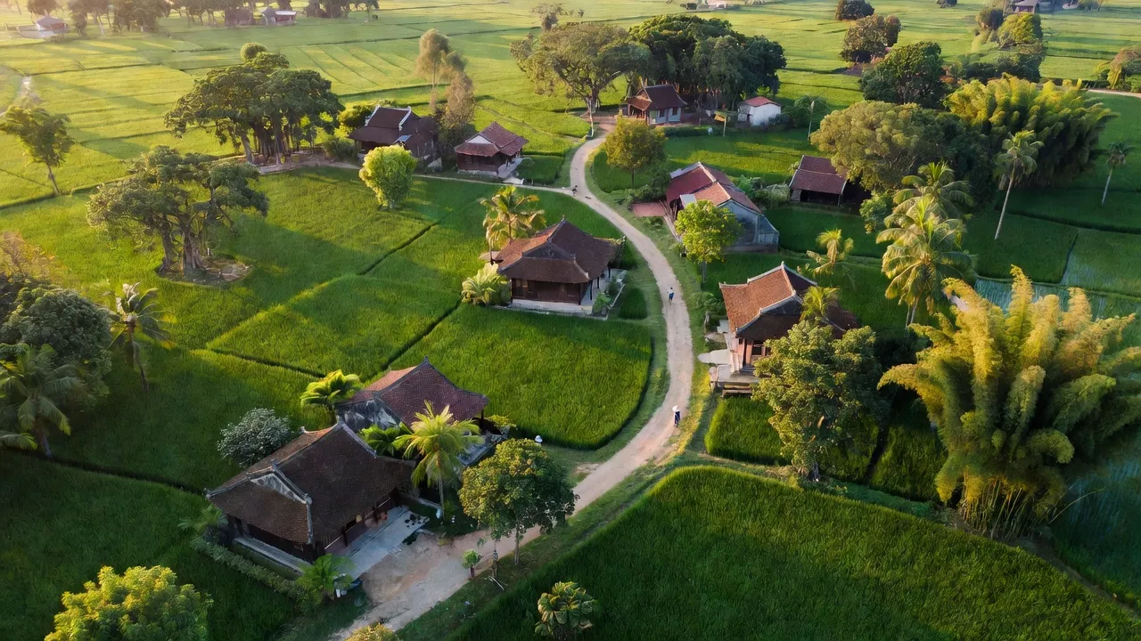 Lạc Vệ - hình ảnh minh họa 1