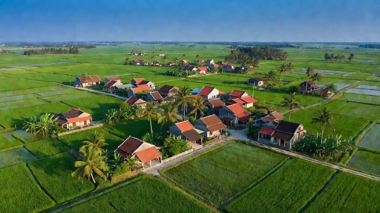 Việt Đoàn - hình ảnh minh họa 1