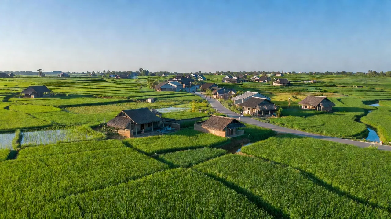 Cảnh quan yên bình xã Hòa Tiến, huyện Yên Phong, Bắc Ninh với đồng lúa và nhà truyền thống.