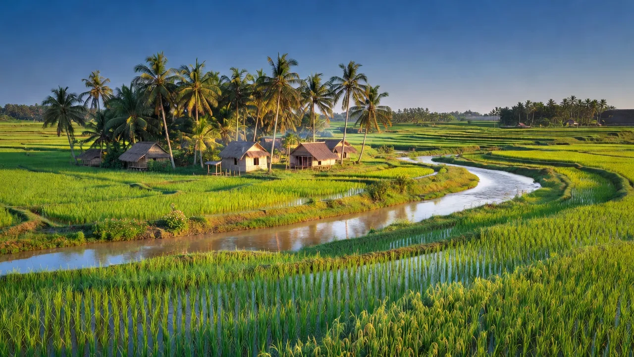 Cảnh sắc đồng quê An Hiệp, huyện Ba Tri, Bến Tre với cánh đồng lúa và dòng sông uốn lượn.