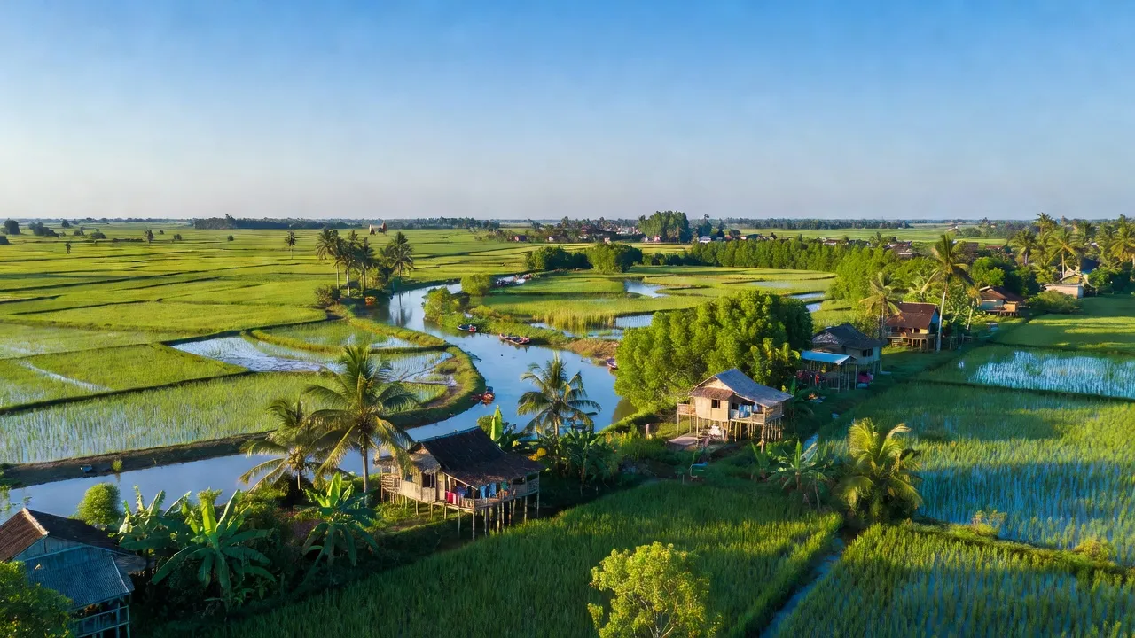 Xã An Hòa Tây, huyện Ba Tri, tỉnh Bến Tre với cánh đồng xanh và nhà ven sông.