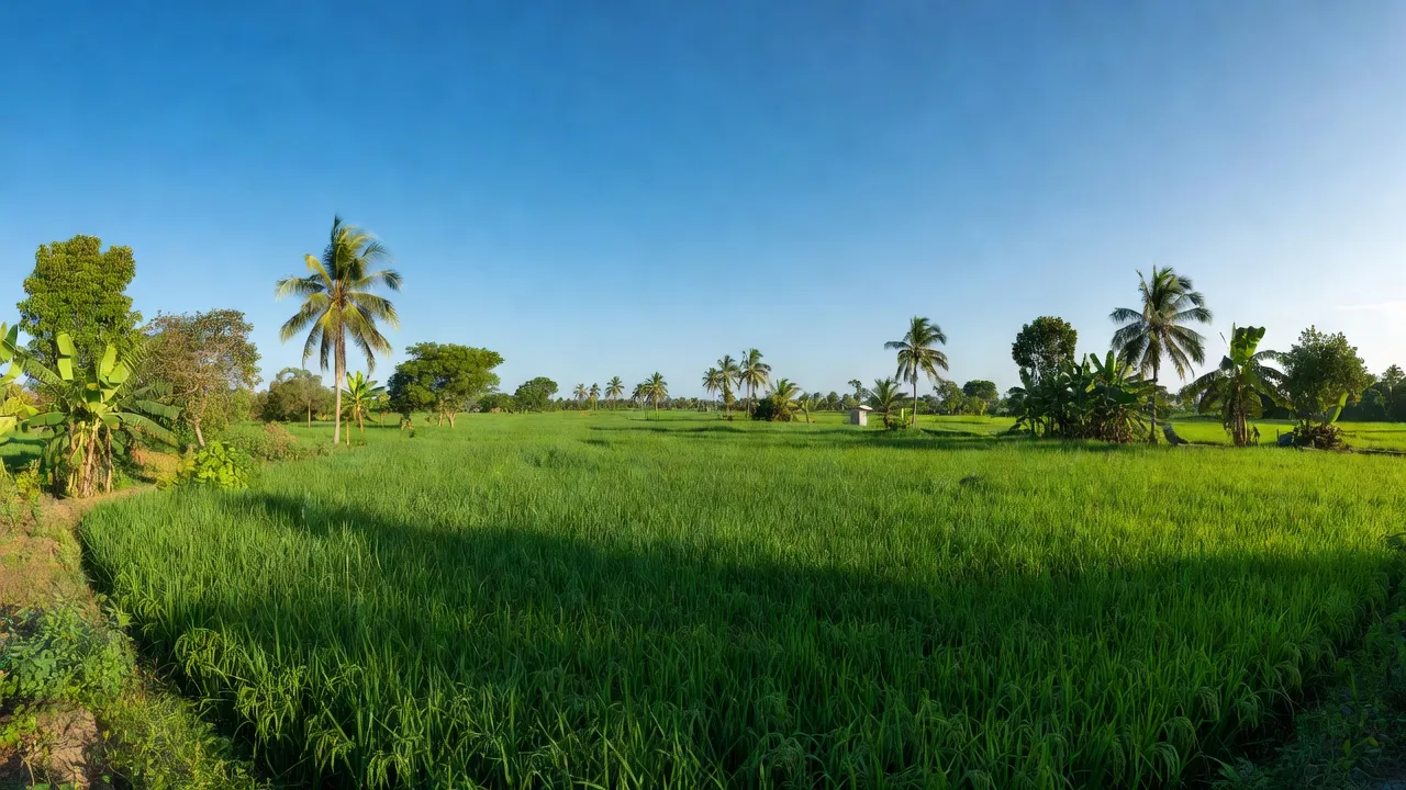 Cảnh đẹp An Ngãi Trung, Ba Tri, Bến Tre với cánh đồng xanh và bầu trời sáng rõ.