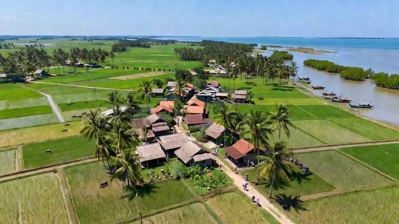 Khung cảnh làng Định Trung, huyện Bình Đại, Bến Tre với đồng lúa xanh, nhà truyền thống và bầu trời trong xanh.