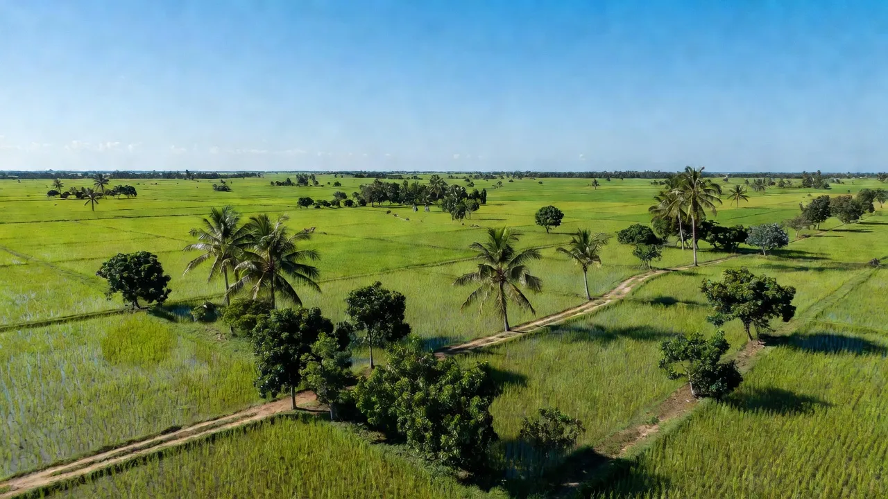 Xã Quới Thành, Huyện Châu Thành, Tỉnh Bến Tre