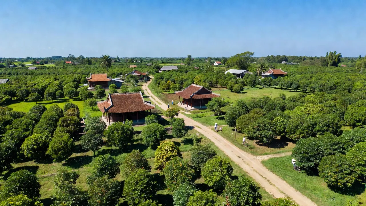 Cảnh đồng cây ăn trái huyện Chợ Lách, Bến Tre, biểu tượng nông nghiệp Việt Nam, thiên nhiên tươi tốt.