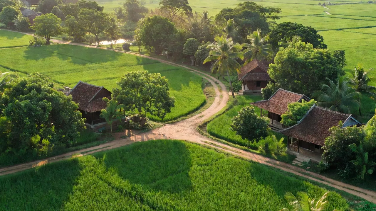 Khung cảnh nông thôn xã Sơn Định huyện Chợ Lách, Bến Tre, với đồng ruộng và ánh sáng mặt trời.