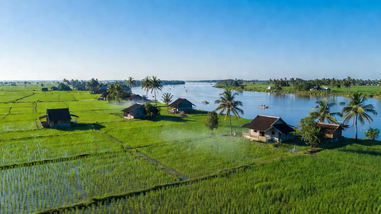 Long Mỹ - hình ảnh minh họa 1