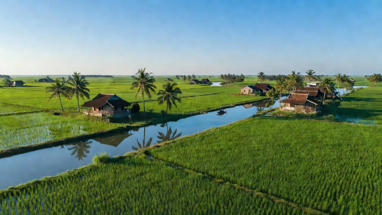 Cảnh quan xã Sơn Phú, Giồng Trôm, Bến Tre với đồng xanh và nhà truyền thống bên dòng nước.