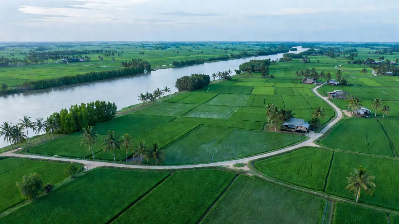 Cảnh đẹp xã Nhuận Phú Tân, dòng sông Cổ Chiên và cánh đồng nông nghiệp Bến Tre.