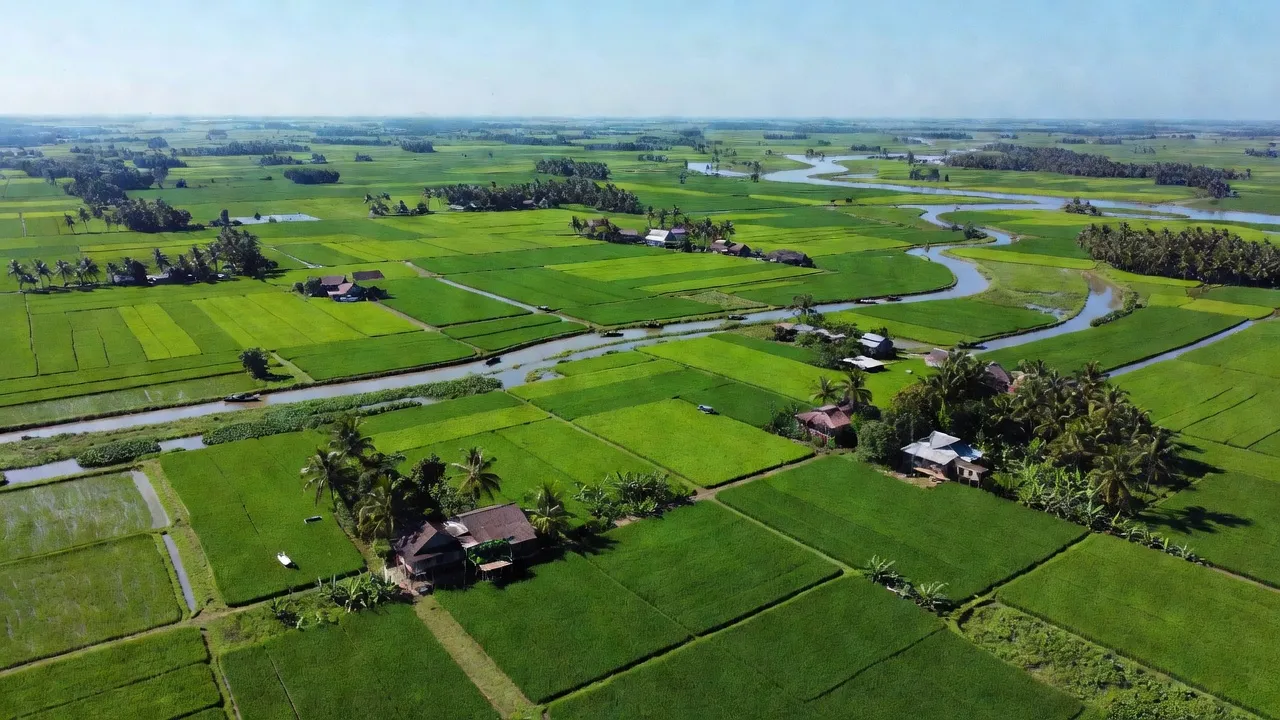 Xã Tân Bình, Huyện Mỏ Cày Bắc, Tỉnh Bến Tre