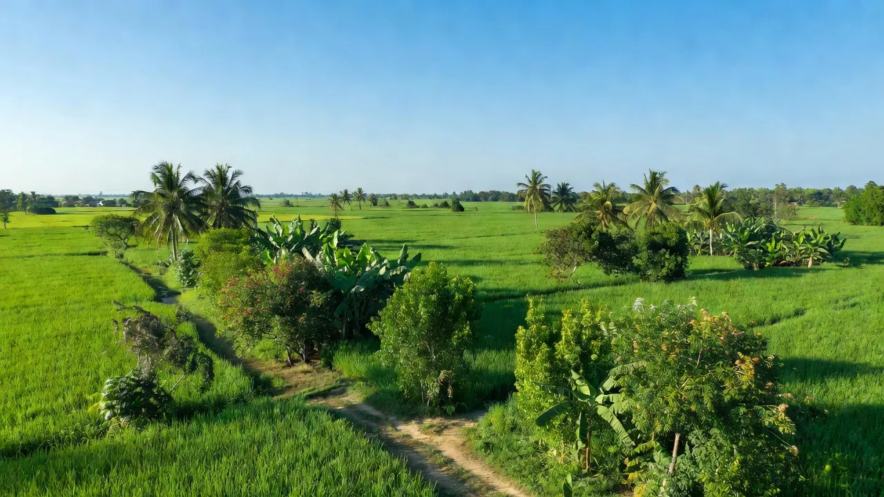 Tân Phú Tây - hình ảnh minh họa 1