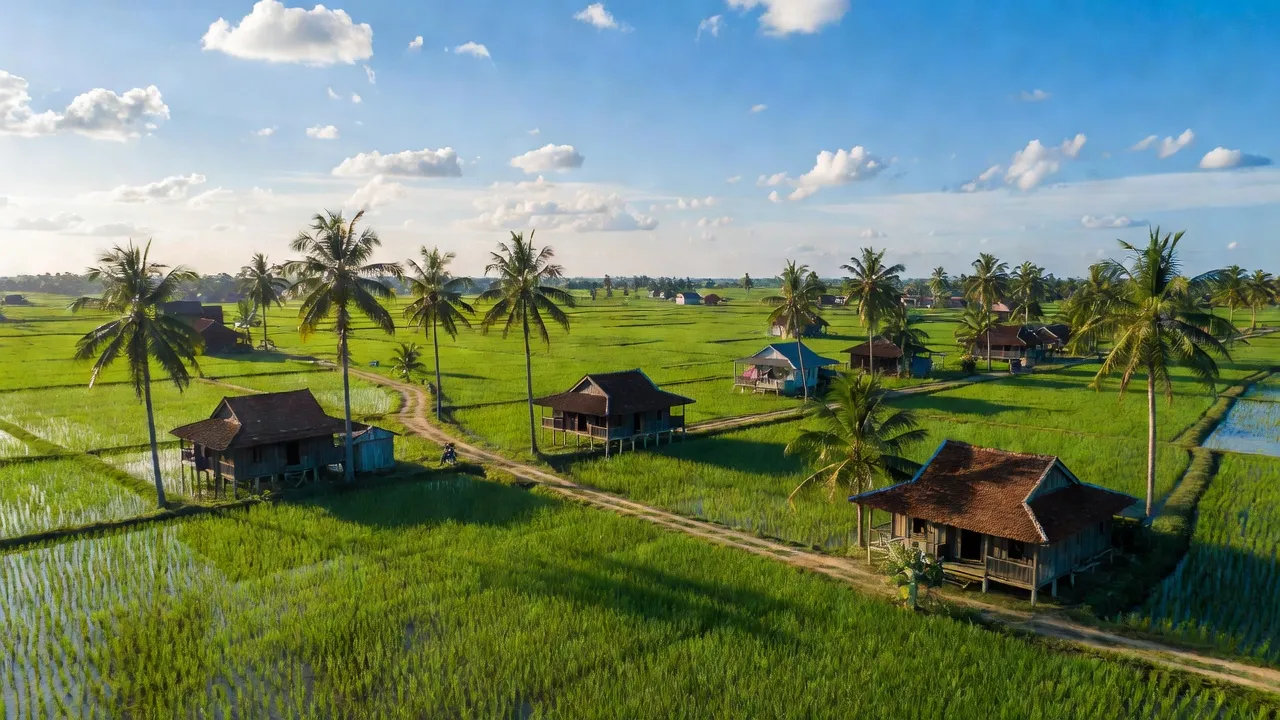 Cảnh làng Đa Phước Hội, Mỏ Cày Nam, Bến Tre với ruộng xanh và nhà truyền thống.