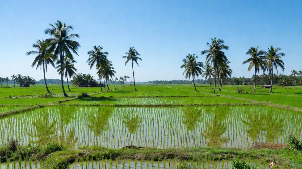 Xã Hương Mỹ, Mỏ Cày Nam, Bến Tre với cây dừa, đồng ruộng xanh mát, trời trong xanh.