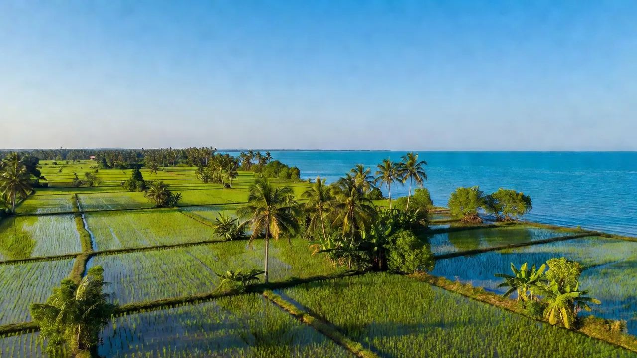 Phong cảnh đẹp xã An Thạnh, huyện Thạnh Phú, Bến Tre với cây xanh và bờ biển.