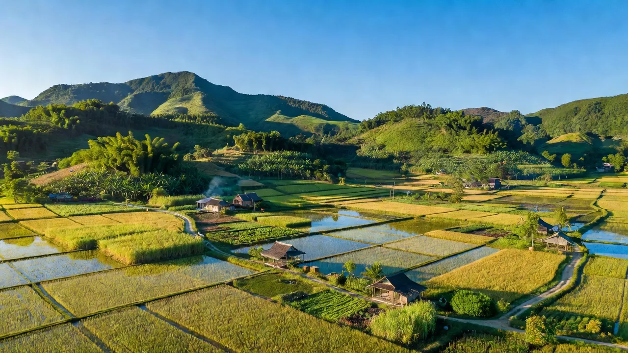 Khung cảnh nông nghiệp tươi đẹp xã An Trung, huyện An Lão, tỉnh Bình Định dưới bầu trời trong xanh.